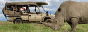 Porini Rhino Camp Safari