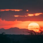 Amboseli & Selenkay Conservancy - photo credit Vlad Tchompalov