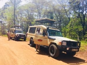 GWS Road-Safaris-2-768x576