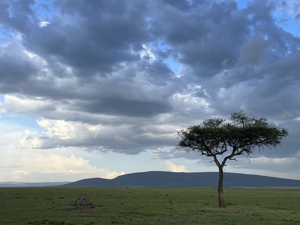 Ol Kinyei Conservancy - Photo credit Robyn Beattie