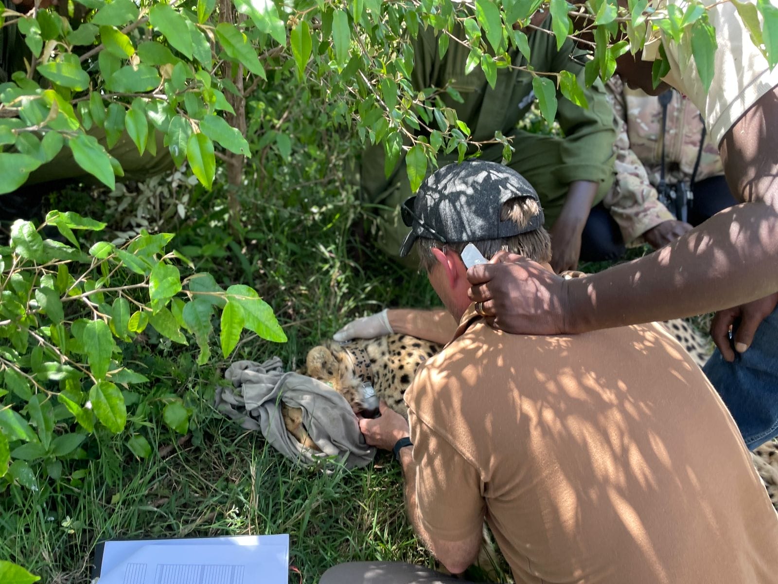 WhatsApp Image 2024-12-12 at 173139_8e867d41 | Gamewatchers Safaris
