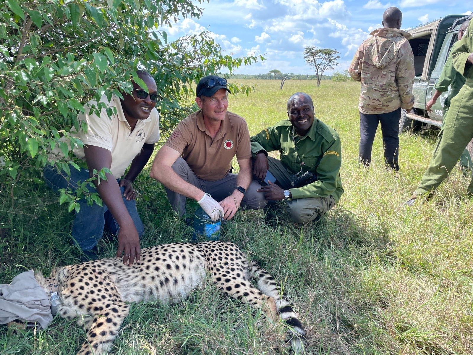 WhatsApp Image 2024-12-12 at 173140_2d804fe9 | Gamewatchers Safaris