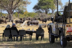 Bush Breakfast on safari in front of watering hole