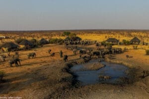Zimbabwe Nehimba Camp