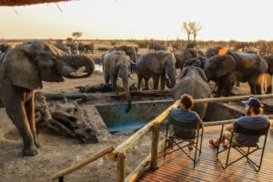 Nehimba Camp - Herd Of Elephants in Zimbabwe