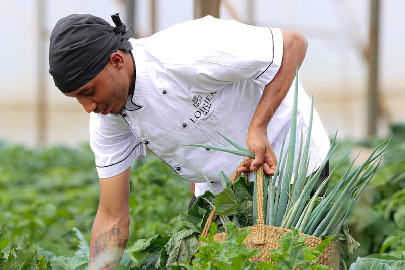 Loirien Mara - Chef in greenhouse