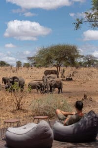 Nimali Tarangire - Elephant Watching