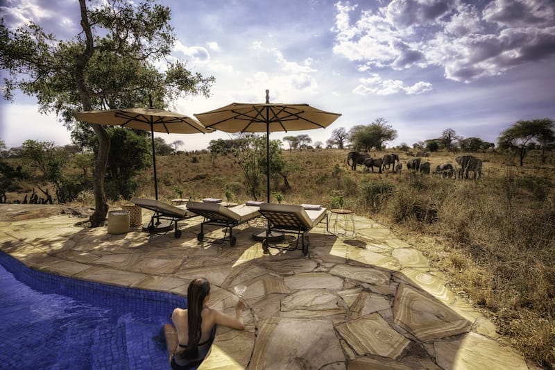 Nimali Tarangire - Pool