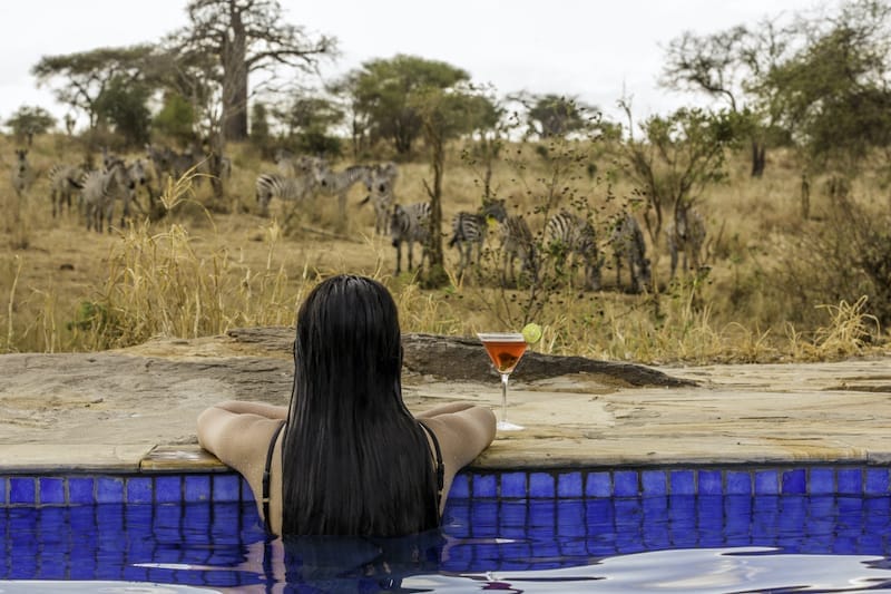 Guest in the pool looking at some zebra at Nimali Tarangire in Tanzania