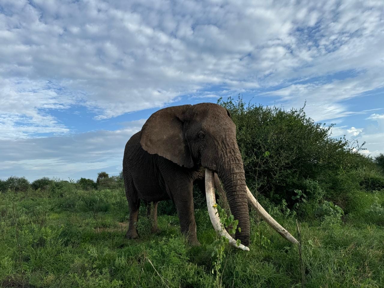 Paolo, captured through the lens of Porini Guide Edison Sakimba