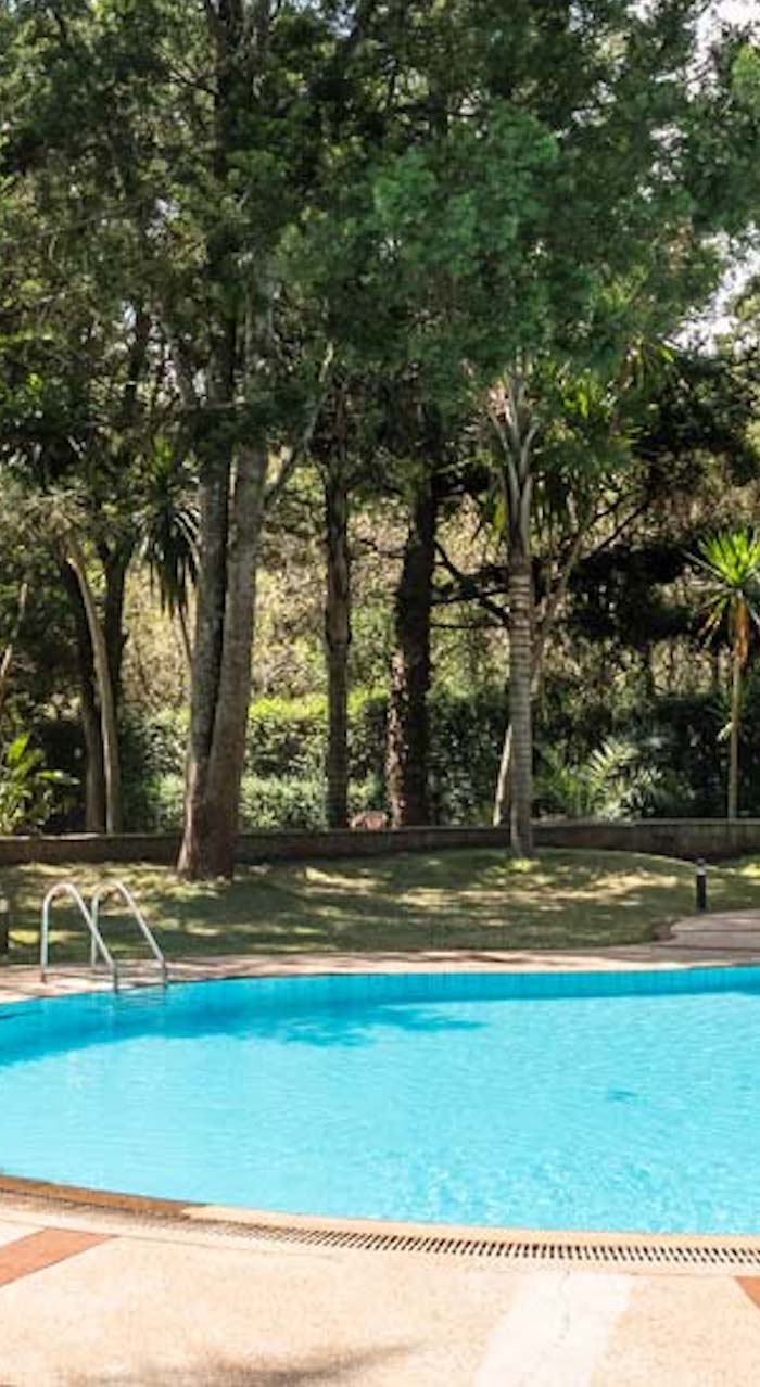 House of Waine Pool