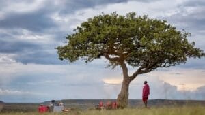 JW Marriott Masai Mara Lodge - Sundowner