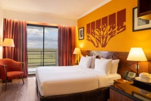 Ole Sereni Room Interior