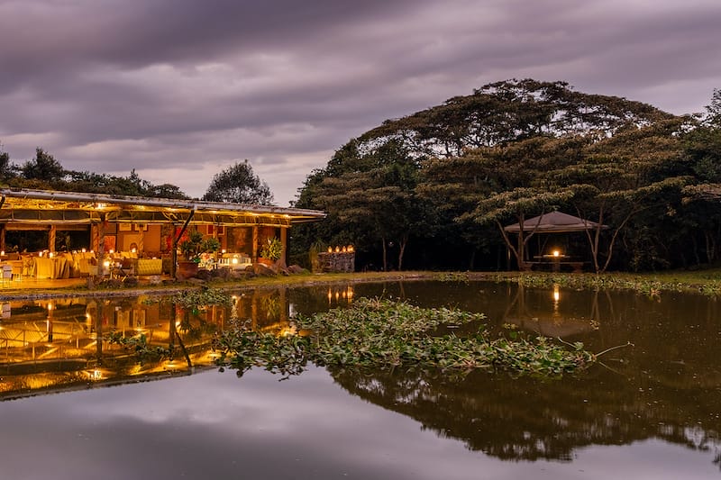 Hemingways Eden Deck Egg Bar