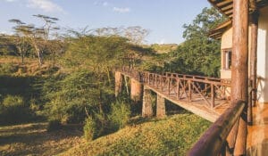 The Emakoko Walkway