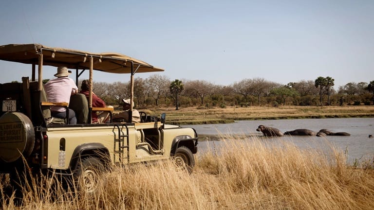 Chada Katavi Camp Hippo