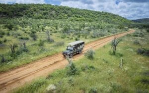 Namibia Ongava Lodge Gamedrive