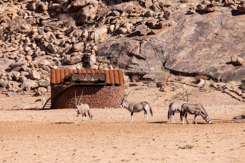Camp Sossus Exterior
