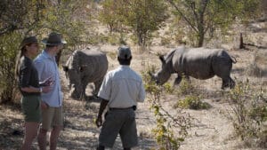 Zambia Thorntree River Lodge Rhino Walk
