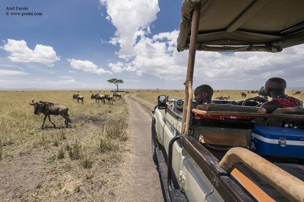 Porini game drive | Gamewatchers Safaris