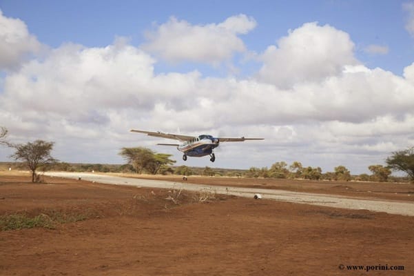 domestic flights | Gamewatchers Safaris