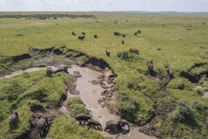 Paradise Plains Wildlife