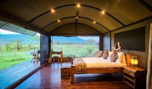 Asanja Moru Camp - tent view