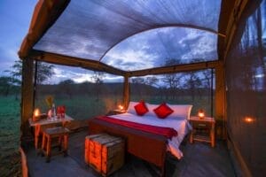 Asanja Under The Stars