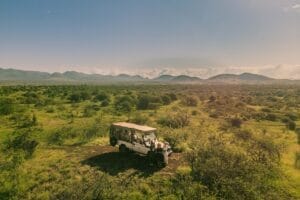 Finch Hatton's Game Drive