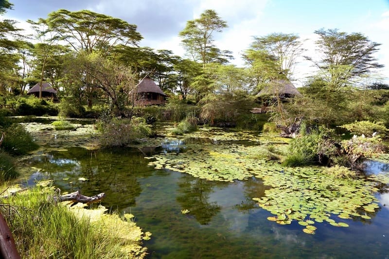Finch Hatton's Natural Springs