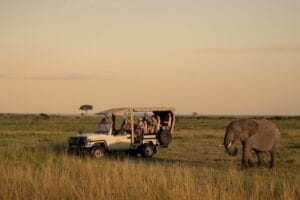 Mahali Mzuri Gamedrive