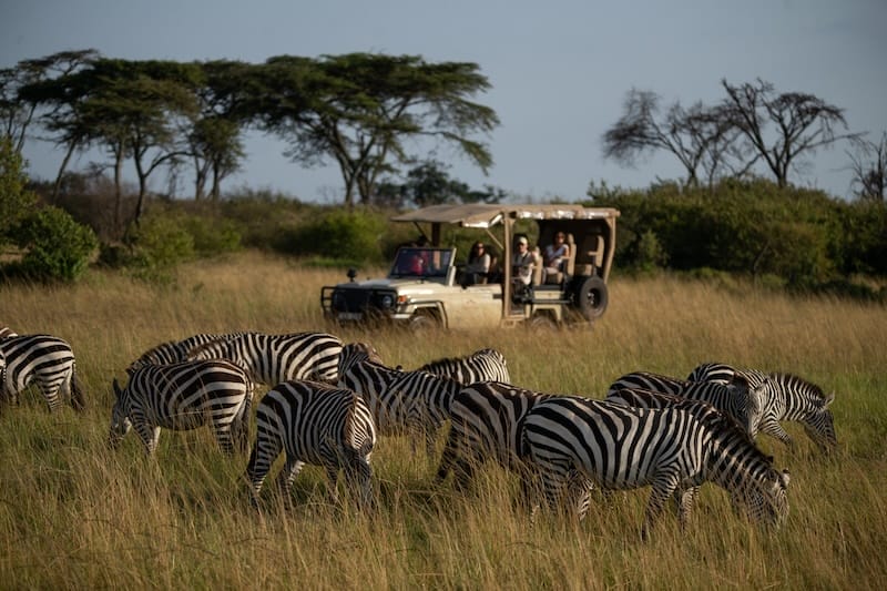 Mahali Mzuri Gamedrive
