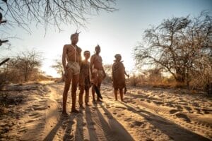 Dune Camp Botswana