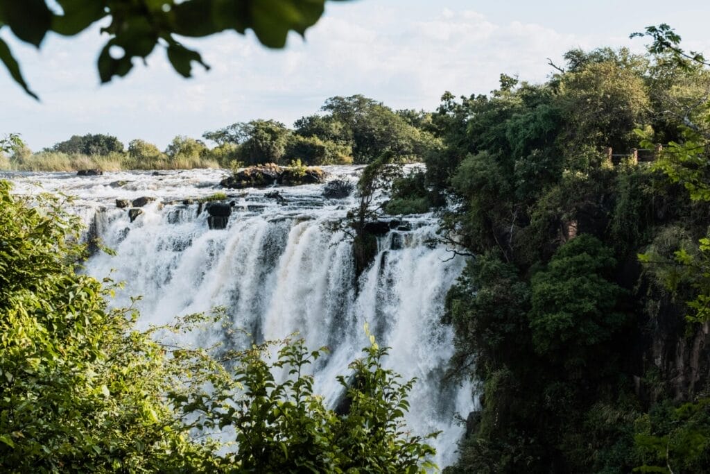 Waterfall surrounded by lush greenery
