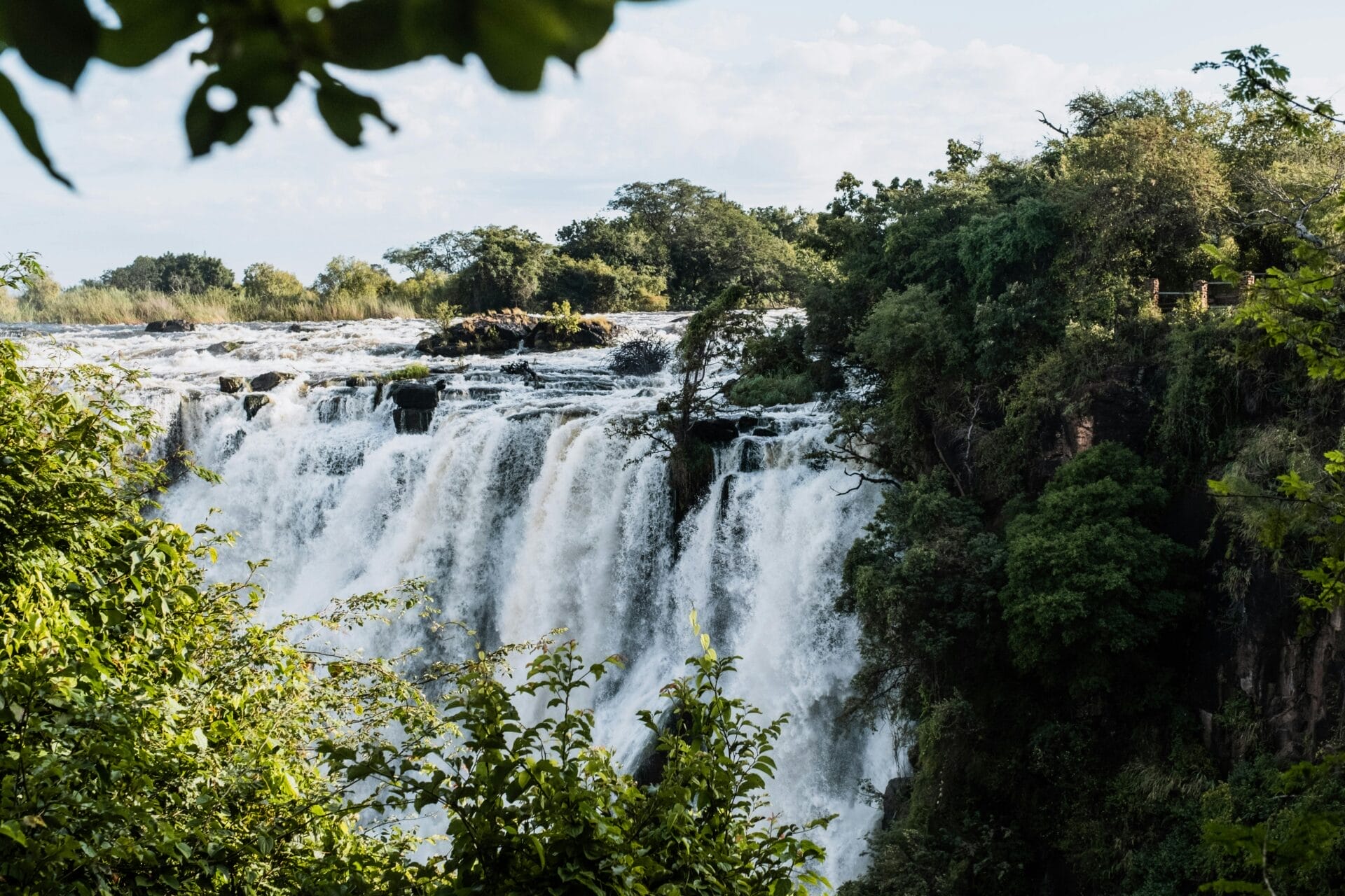 Waterfall surrounded by lush greenery