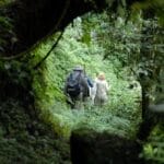 Virungu Lodge Gorilla Trekking