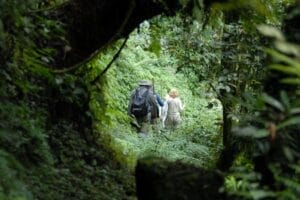 Virungu Lodge Gorilla Trekking