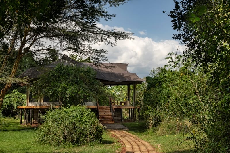 Ilkeliani Guest Tent