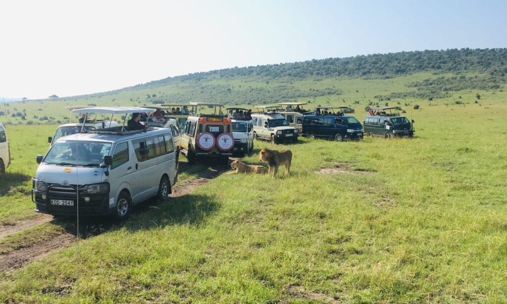 Game drive in Maasai Mara National Reserve. Photo by Ivy Vuguza in 2019.