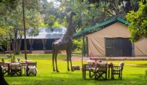 Nairobi Tented Camp Exterior and Garden