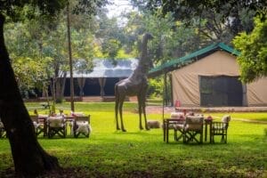 Nairobi Tented Camp Exterior and Garden