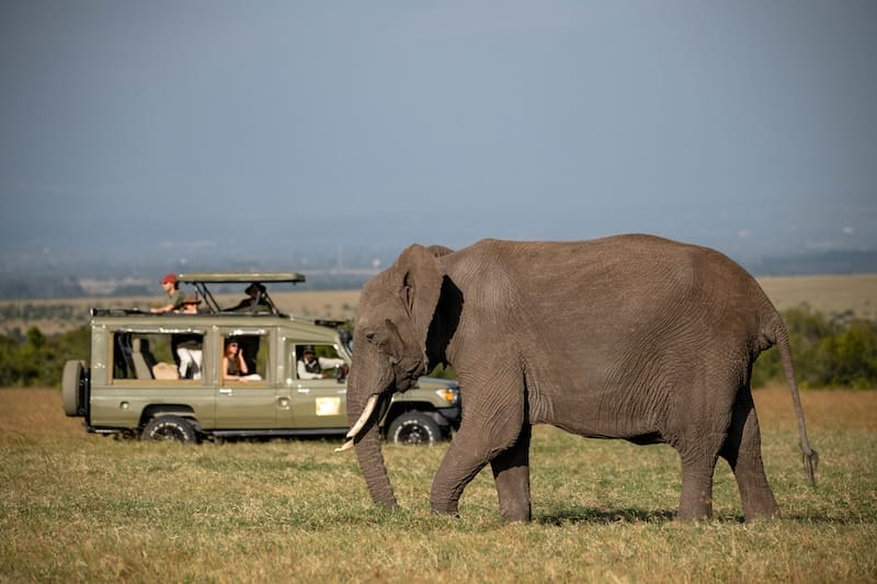 The River Camp - Game Drives