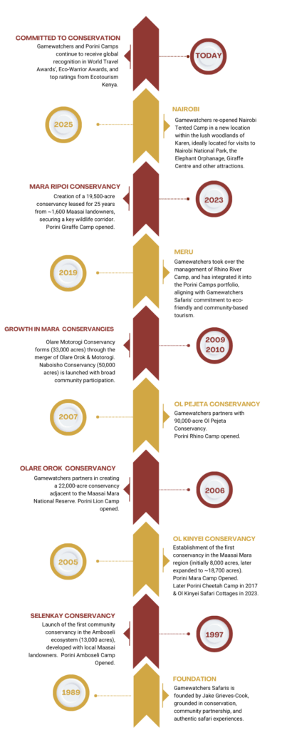 HISTORY TIMELINE GRAPHIC