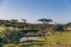 Ol Kinyei Conservancy - photo credit Vlad Tchompolov