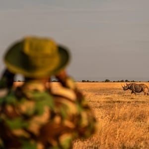 Ol Pejeta Conservancy Rhino Monitoring and Identification