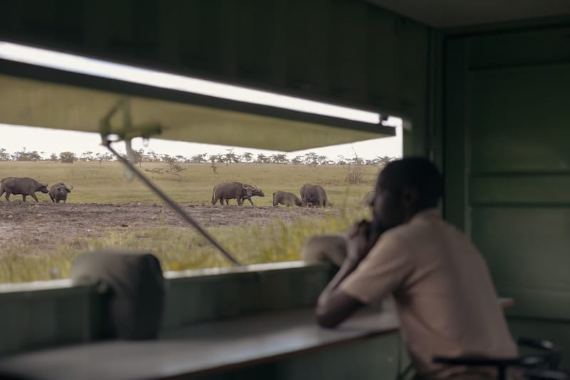 Porini Rhino Camp Wildlife HIde