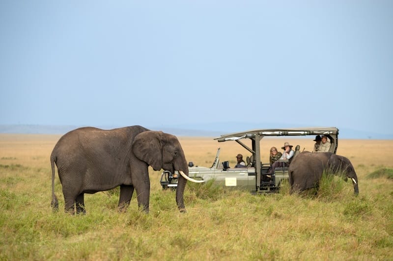 Paradise Plains Camp