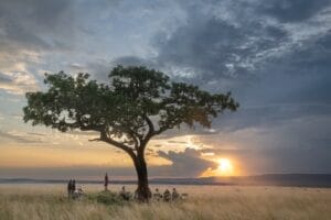 Paradise Plains Camp