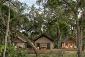 Paradise Plains Camp