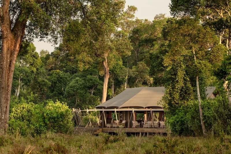 Paradise Plains Camp